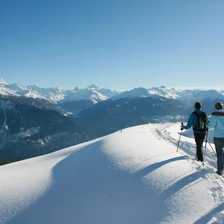 Clairiere Des Barzettes B14 By Interhome 아파트 Vermala